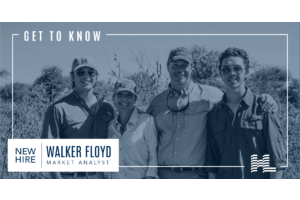 Get to Know Walker Floyd, Market Analyst